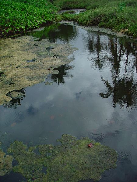 dsc00531.jpg