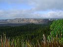 dsc00273